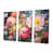 Wrapped Canvas
