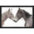" Gentle Herd " by Danita Delimont-1552974019