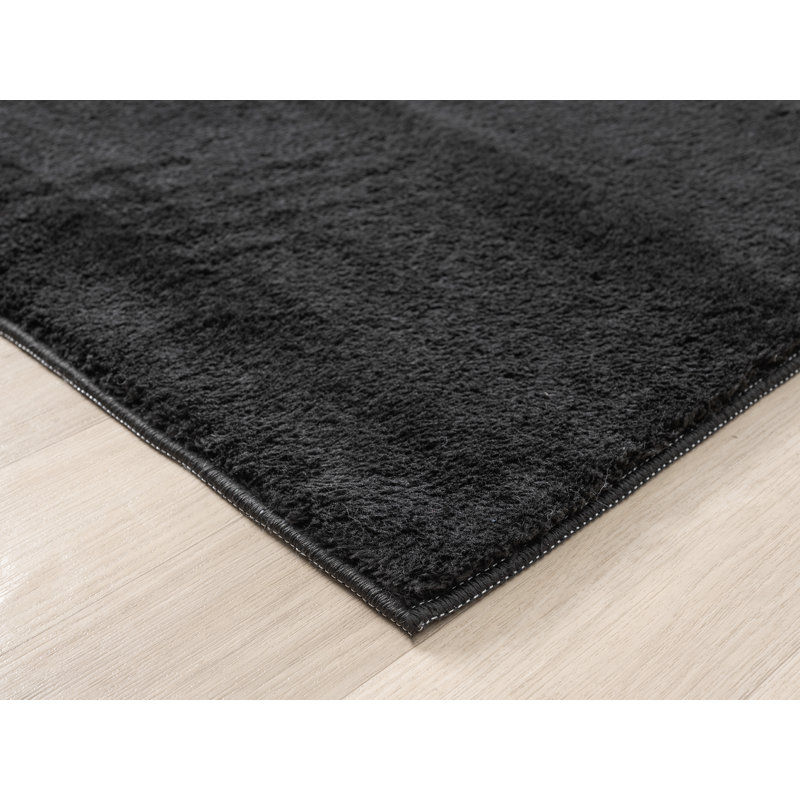 Taeler Washable Modern Living Room Rug Polyester - Anti-Slip Felt Backing Carpet Bedroom-Hallway, Black