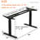 Dual Motor Electric Bracket Height Adjustable Standing Desk