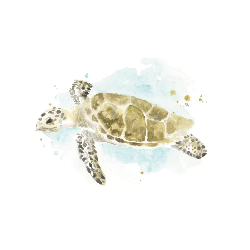 Watercolor Sea Turtle Study II by June Erica Vess - Wrapped Canvas Gallery-Wrapped Canvas Giclée, 101.6 cm H x 66.04 cm W