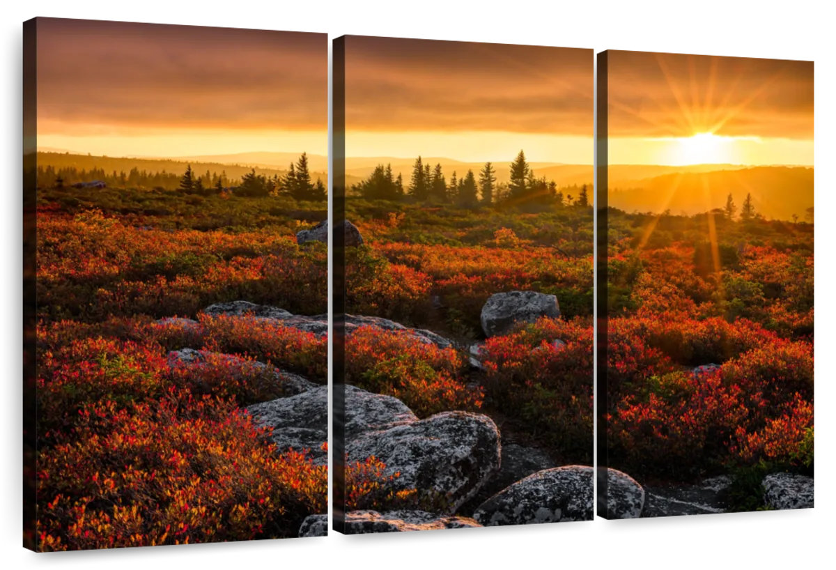 Millwood Pines Alvord Dolly Sods Sunset | Wayfair