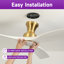 Karlena 52'' Dimmable Ceiling Fan with Lights and Remote Control 3CCT Reversible DC Motor Timer Memory-1157381599