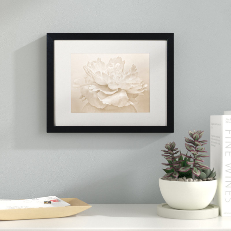 «White Peony», reproduction de photo sur toile encadrée, H 11 po x l 14 po x P 0,5 po, Noir