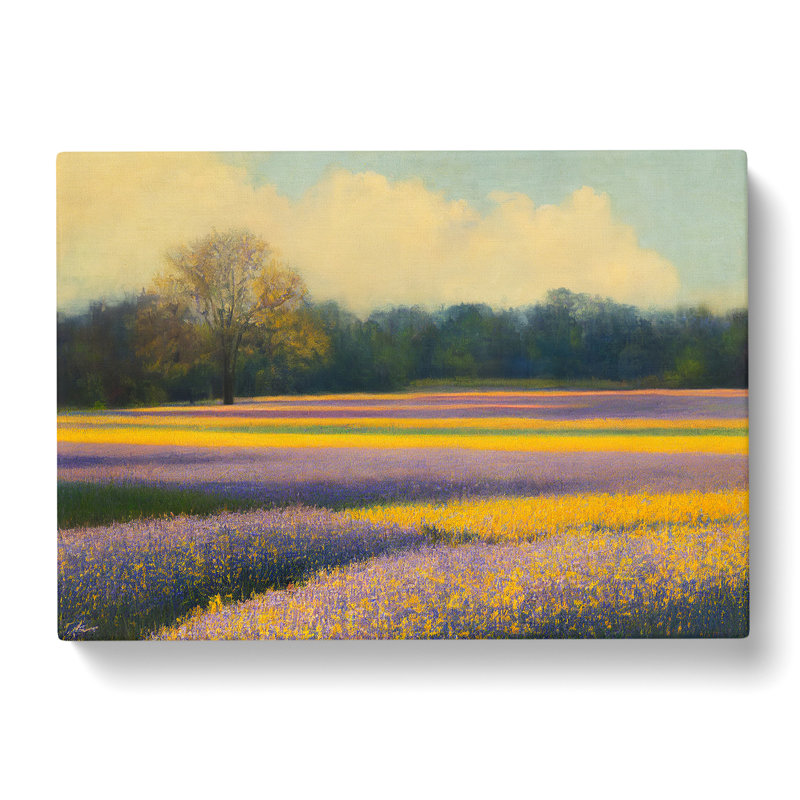 Gleeful Bluebell Field - Wrapped Canvas, 35cm H x 50cm W x 3cm D