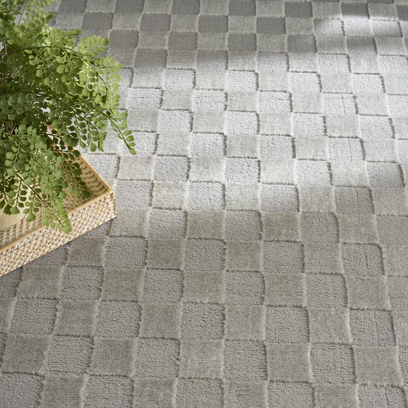 Ebern Designs Mirari Grey Modern Indoor Rug, Rectangle 6' x 9'