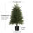 Artificial Cedar Fluffy Leaf Set-1866964277