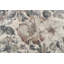 Tapis crème Trost-1124479552