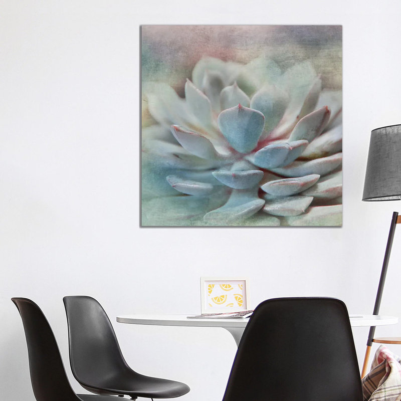Pastel Succulent I by Irene Weisz - Wrapped Canvas Print, 93.98 cm H x 93.98 cm W x 3.175 cm D