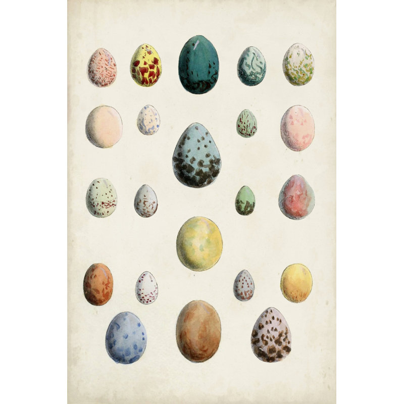 Oeufs d'oiseaux antiques II, H 12 po x l 8 po
