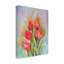 Toile d'extérieur Bonsal Angie Livingstone «Vibrant Tulips»-87945543