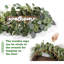 Couronne d'eucalyptus avec panneau de bienvenue - vert - couronne artificielle de 20 pouces pour porte d'entrée, mur ou porche, décor de ferme toutes saisons