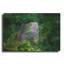 «Green Iguana» par Don Spears-217069405