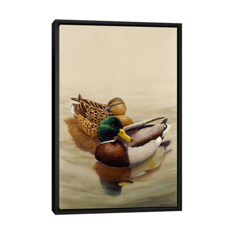 'Mallard' by Harro Maass Painitng Print on Canvas, 26" H x 18" W x 1.5" D, Black Framed Canvas, No Mat