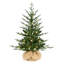 Arbre de Noël illuminé 2,2 pi