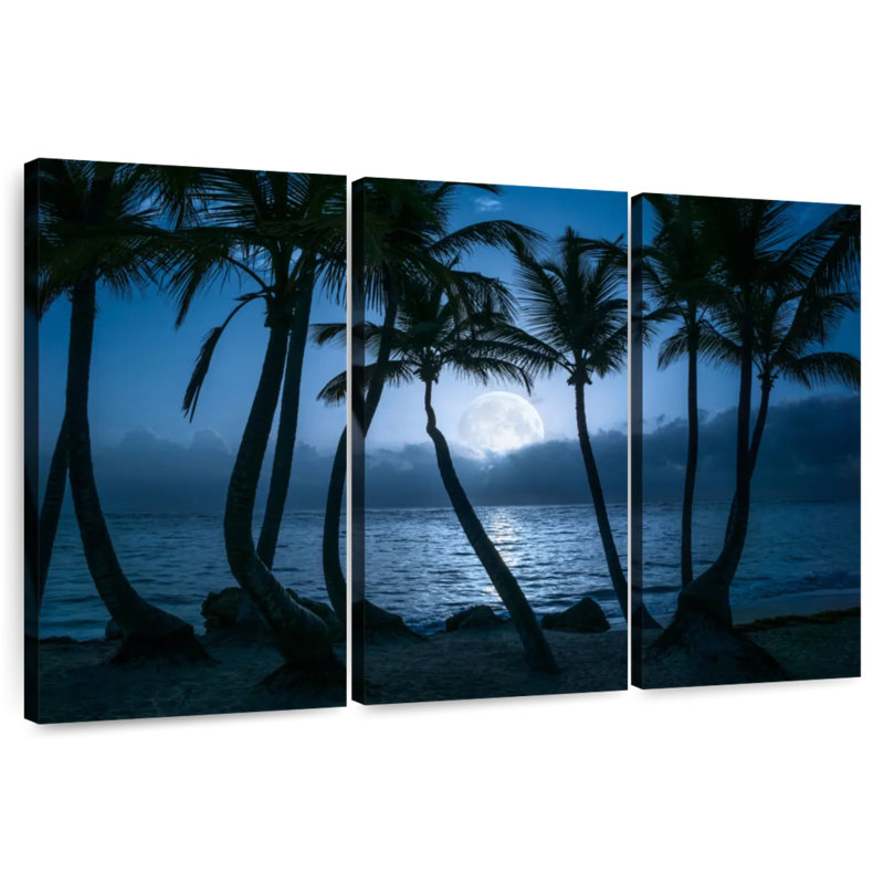 Palmiers de Pointe de Cana, la nuit, H 28 po x l 45 po