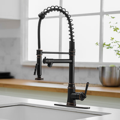 BESy Single Handle Pull Down Kitchen Faucet with Accessories -  B_KTOF_00003_03_ORB