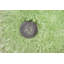 Soft Solid Colour Hand Woven Area Rug-14565524
