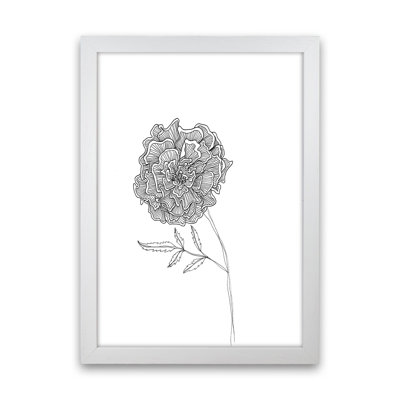 Marigold by Carissa Tanton - Print