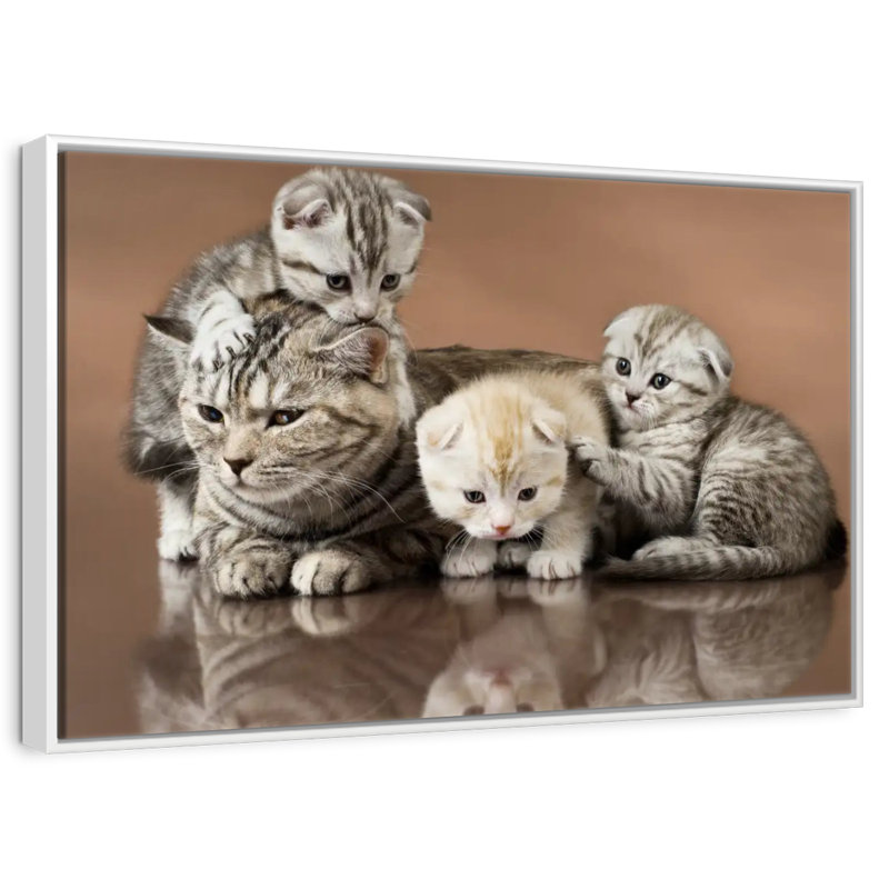 Cat Family, 19" X 13", Floating Frame White