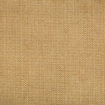 Guaranteed in Stock Fabric