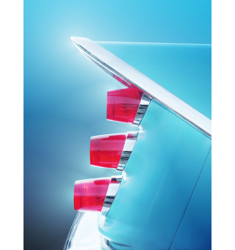 Wrapped Canvas Print, 121.92 cm H x 81.28 cm W