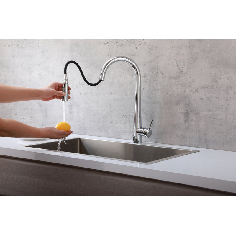 Elegant Home Living Lucas Pull Down Spray Kitchen Faucet, Chrome
