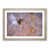 Oak Framed selected