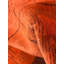 Canvello Overdyed Orange Rugs For Living Room - 4' X 6'