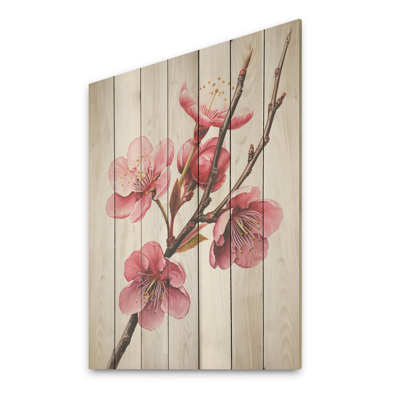 Cerises roses au printemps - Cerisier sur bois, H 40 po x l 30 po