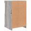 Carisse Iron 1 - Door Standard Accent Cabinet-45831011
