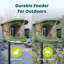 Mangeoire d'oiseaux intelligente à double caméra Birdfy