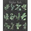 Toile tendue avec châssis Lark Manor ™ Paschke, Chris-2141881374