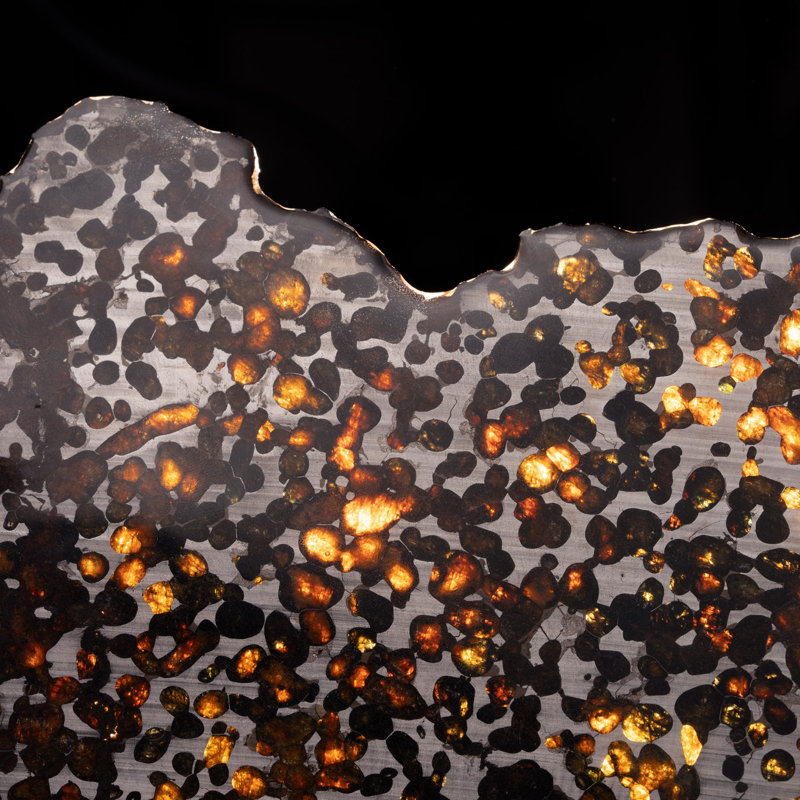 Météorite Sericho Pallasite véritable