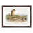 Walnut Framed
