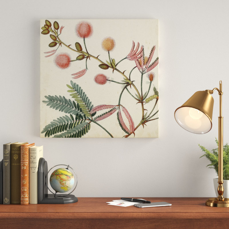 Garden Bounty IV by Vision Studio - Wrapped Canvas Print, 51cm H x 51cm W