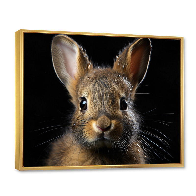 Cute Rabbit Portrait - Animals Canvas Wall Art, Cadre flottant doré, H 12 po x l 20 po x P 1 po