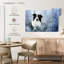 Border collie d'hiver-107879820