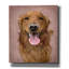 «Dog Portrait» par Ashley Bradley, art mural sur toile, 26 po x 30 po