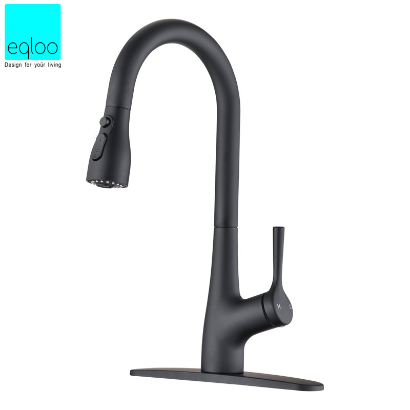 Eqloo Pull Down Kitchen Faucet, Matte Black