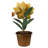 Potted Flower, Daffodil, Aluminum