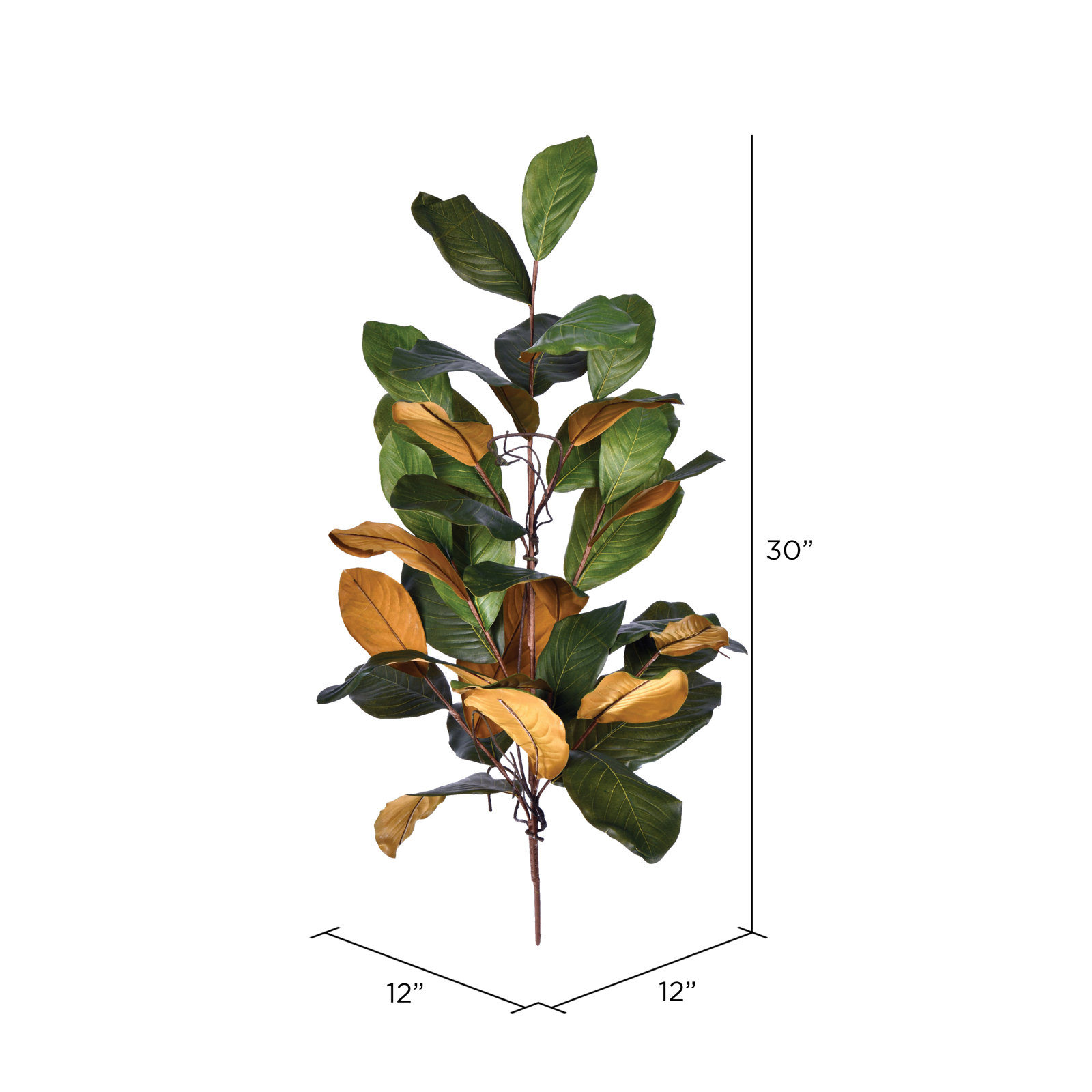 Magnolia Floral Stems