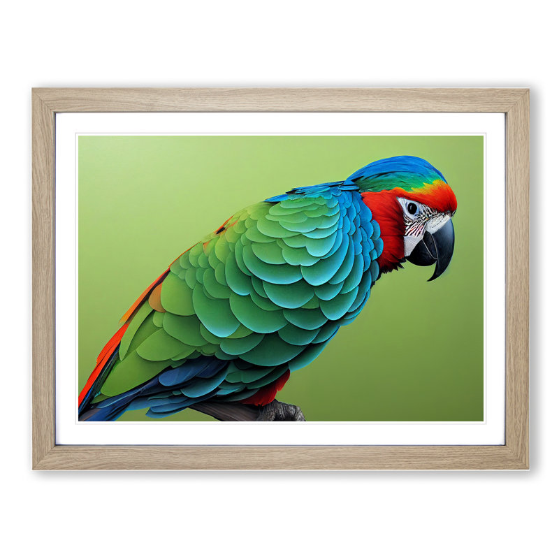 Colourful Parrot Vol.1 - Single Picture Frame Painting, 34cm H x 46cm W x 2cm D, Oak Framed