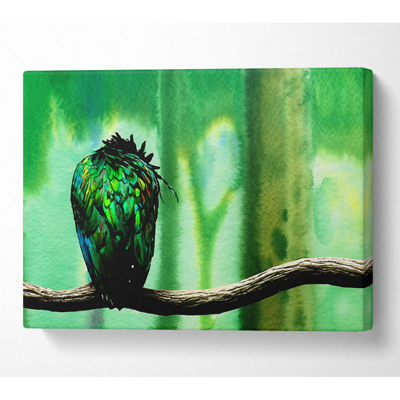 Parrot Perch - Wrapped Canvas Print, 66cm H x 106.6cm W x 10cm D