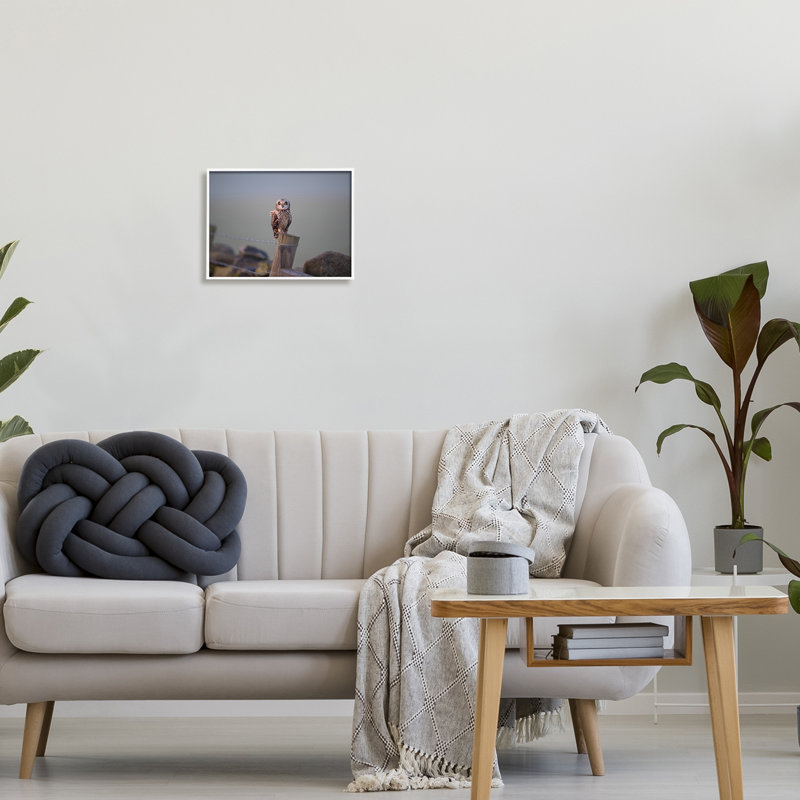 Intensely Gazing Owl Perché, H 11 po x l 14 po x P 1,5 po, Giclée encadrée blanc bord de mer