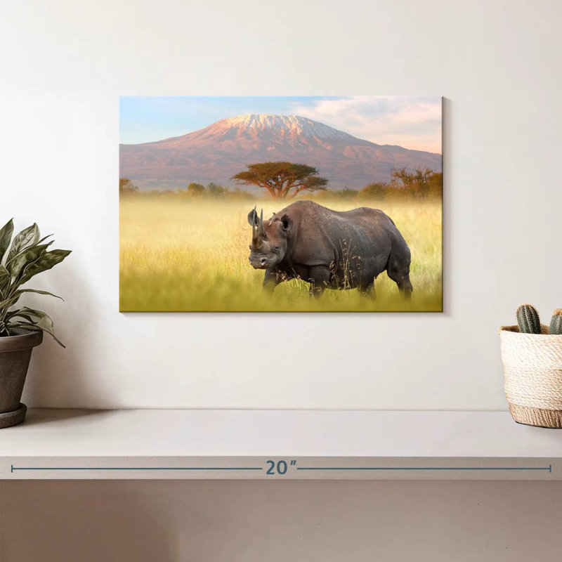 Rhinocéros Hosking Amboseli