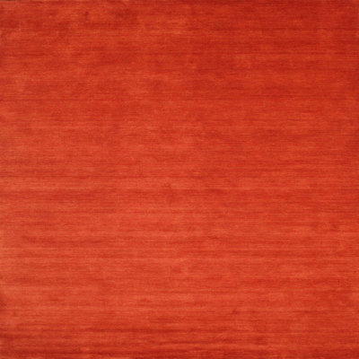 Indoor Rug