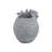 Anslei Pot Planter