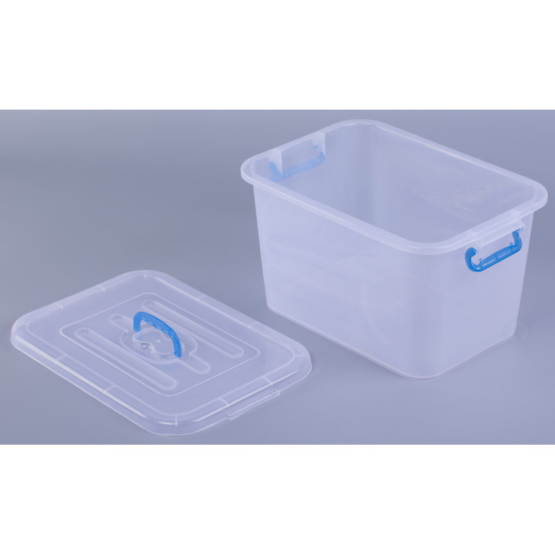 Sac Basic Basic Clear
