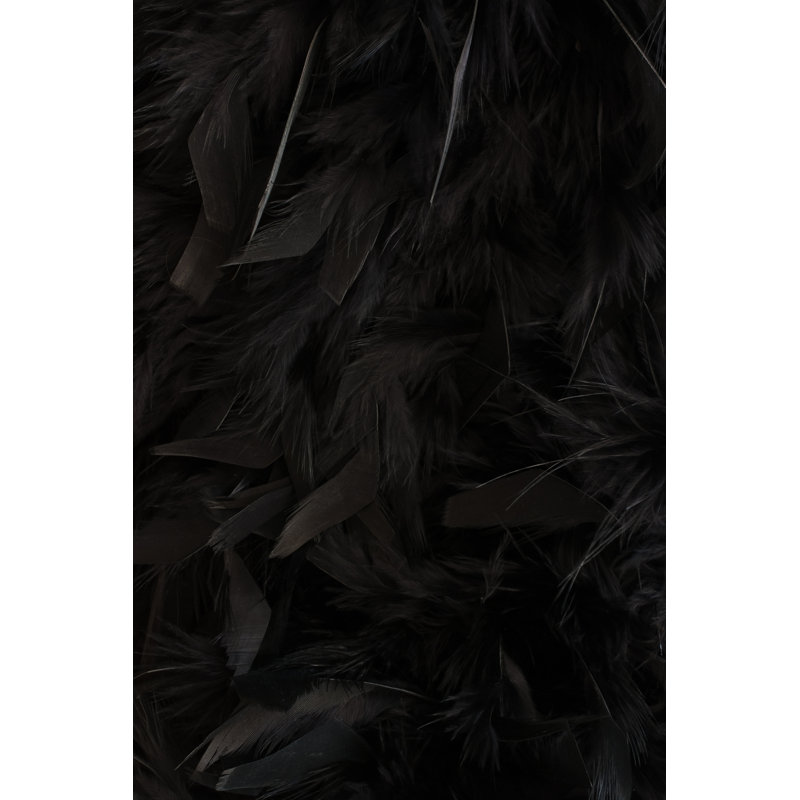 Black Feathers - Wrapped Canvas Print, 30cm H x 20cm W x 3.8cm D